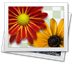 pic_icon_logo